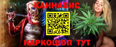 шишки Усть-Джегута
