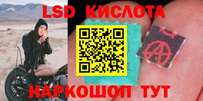 шишки Усть-Джегута