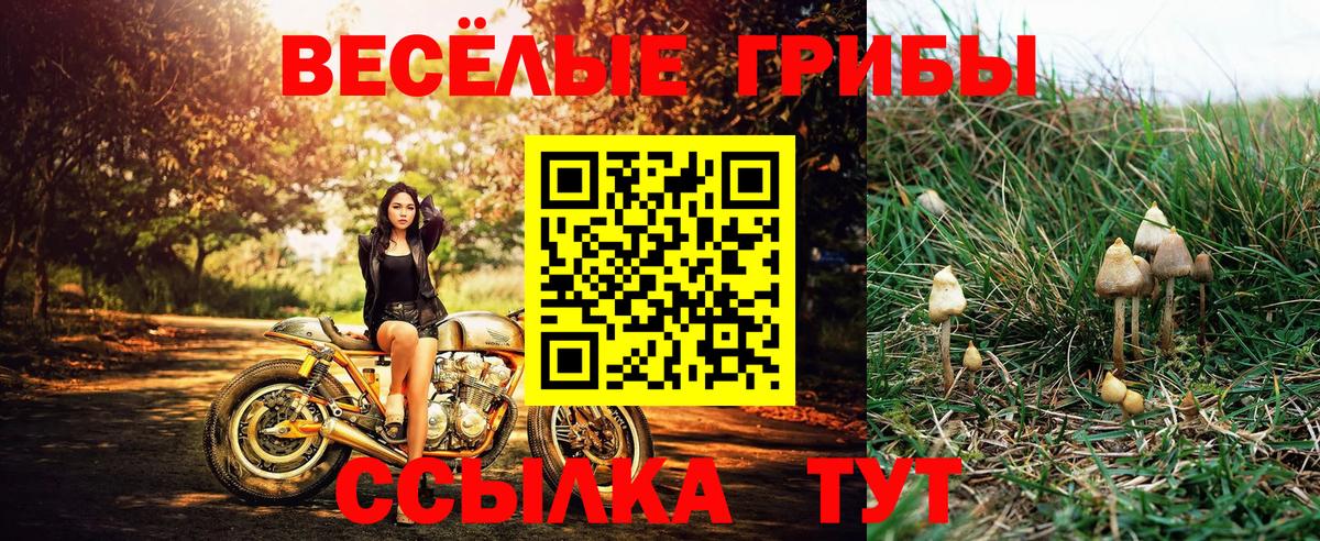 Псилоцибиновые грибы прущие грибы  Вход с VPN  Псилоцибиновые грибы мухоморы  Оренбург 